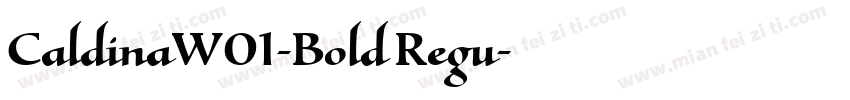 CaldinaW01-Bold Regu字体转换
